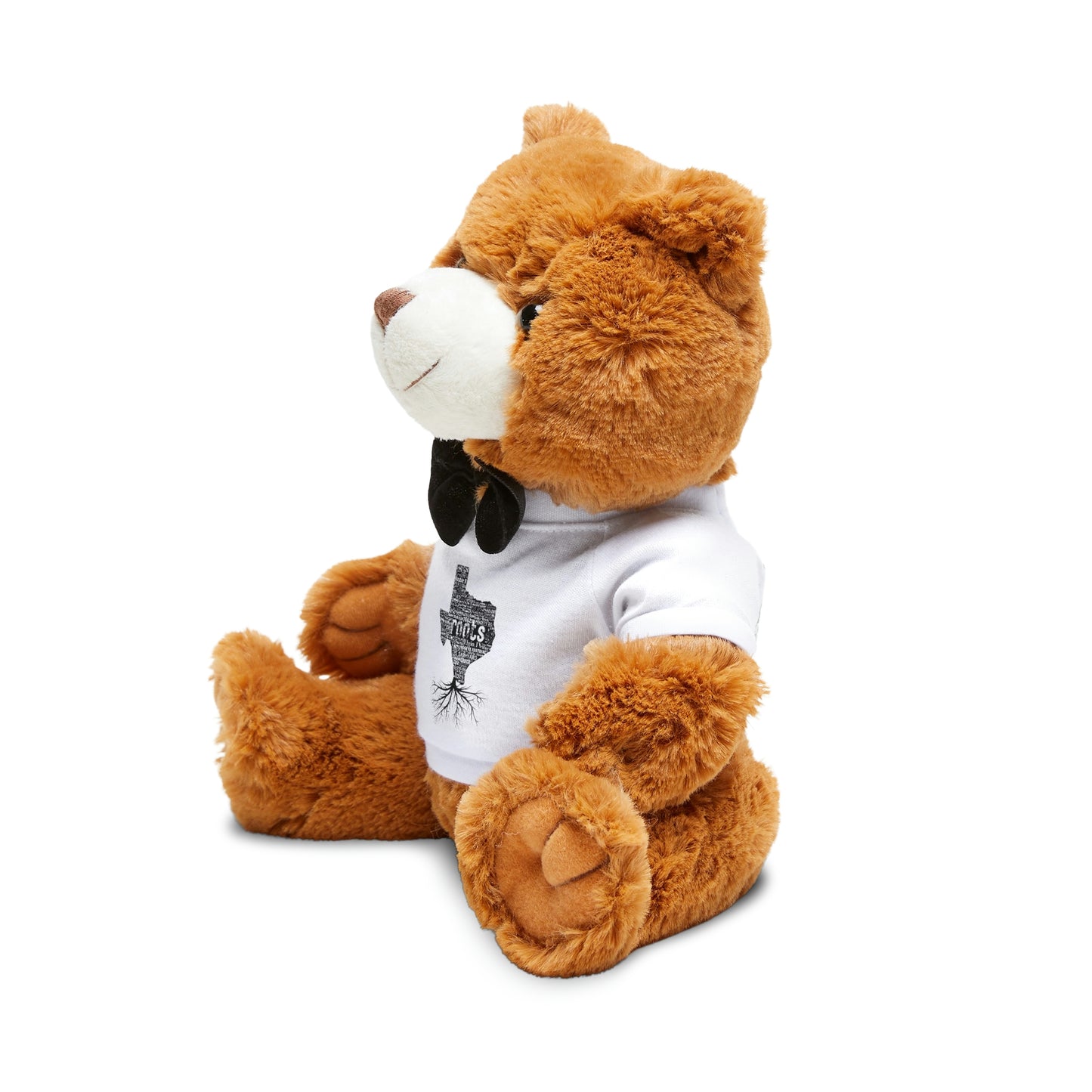 Elgin Teddy Bear with T-Shirt