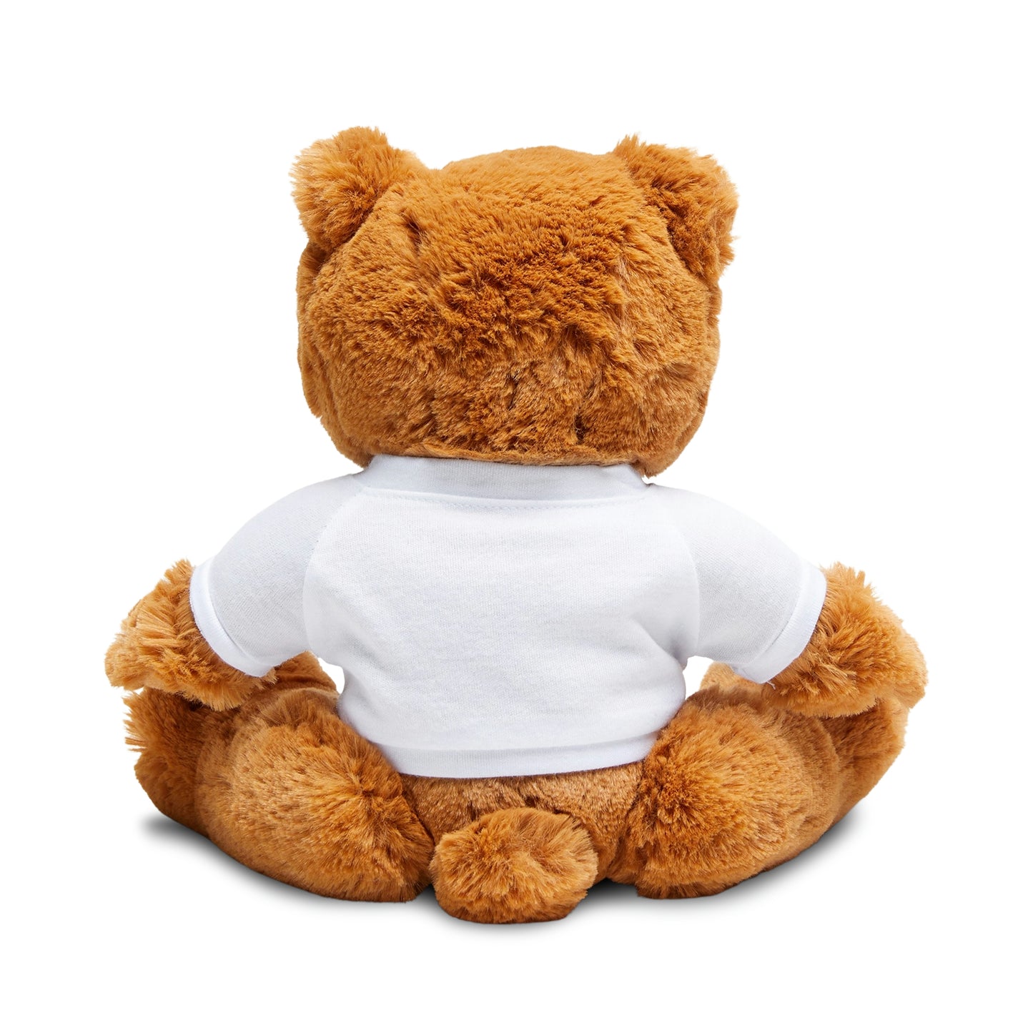 Elgin Teddy Bear with T-Shirt