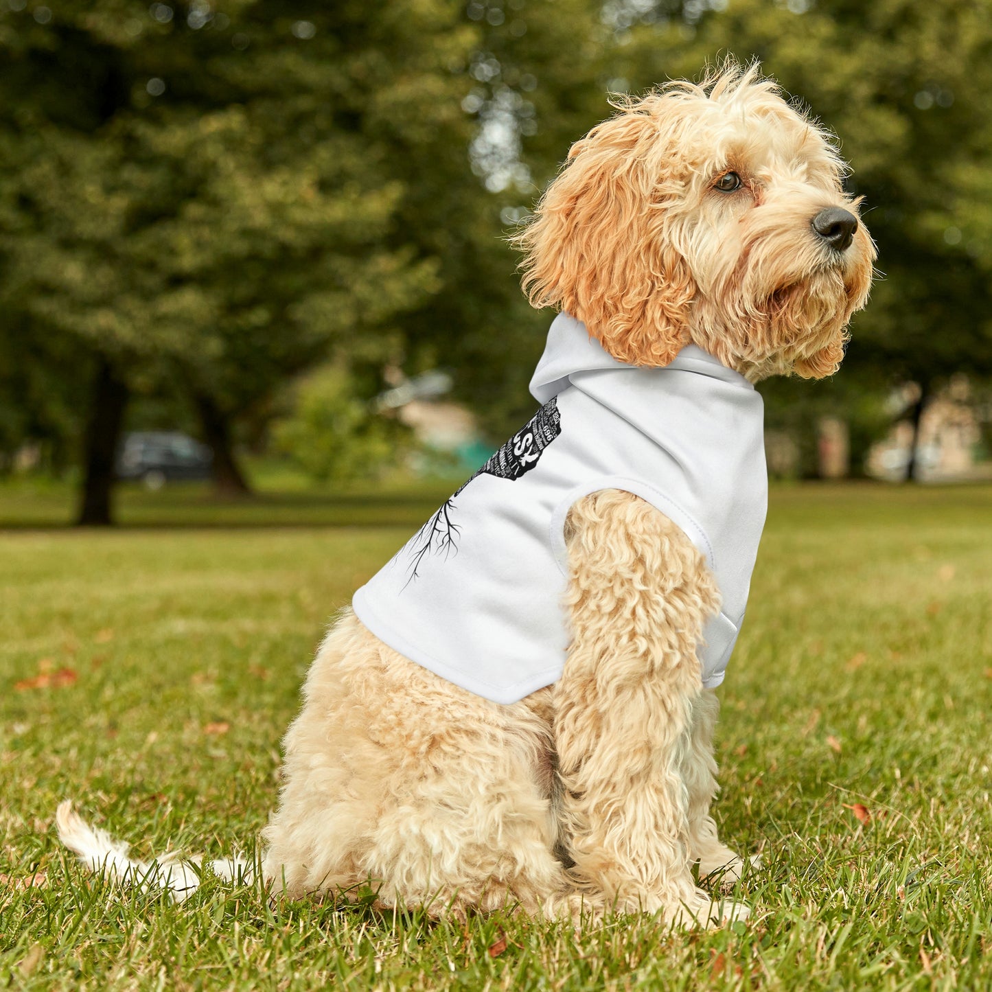 Lexington Roots Dog Hoodie