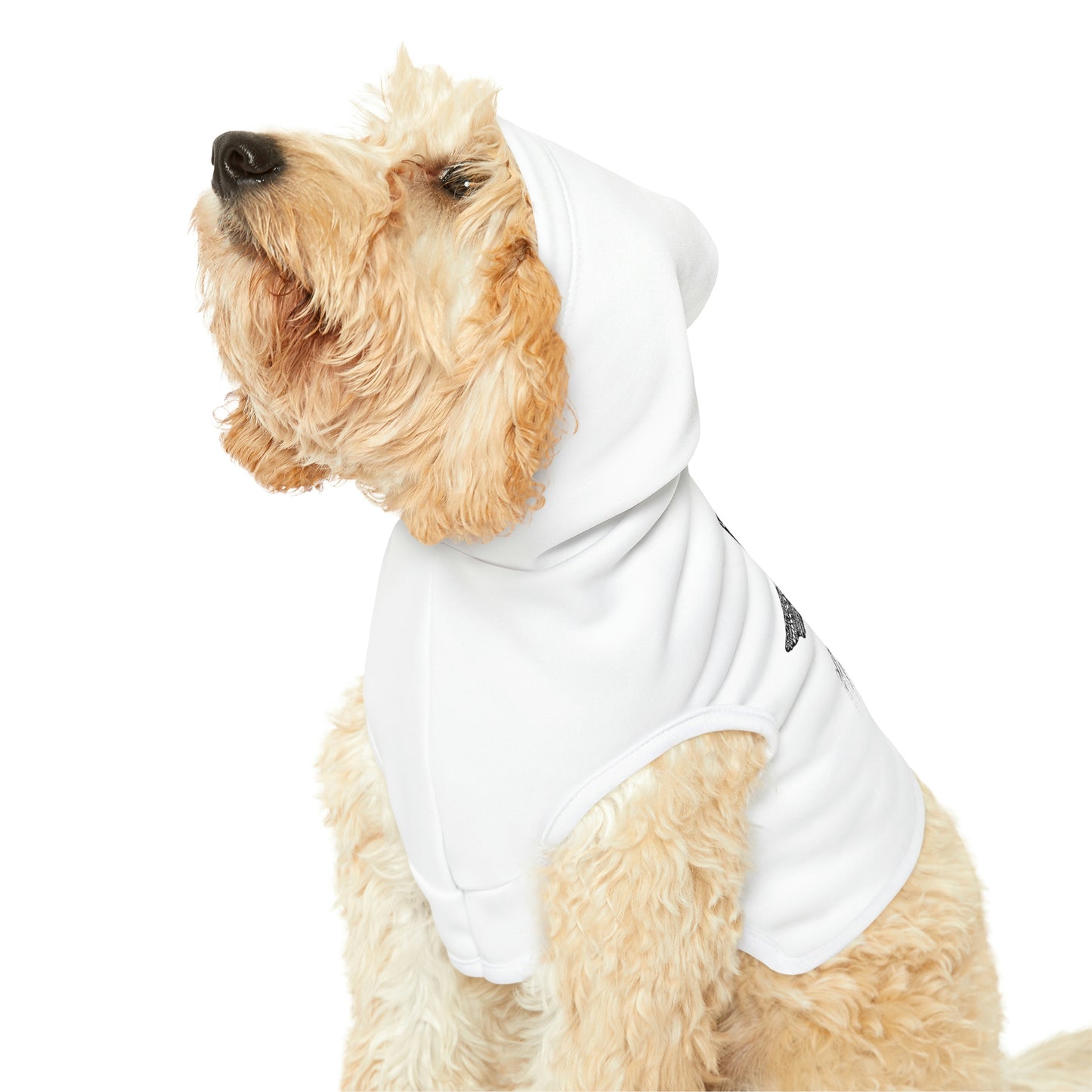 Elgin Dog Hoodie